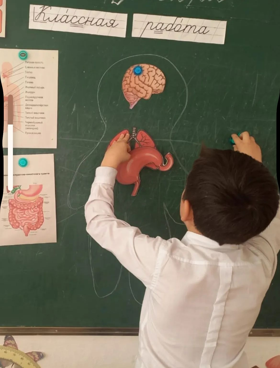 3 класс естествознание